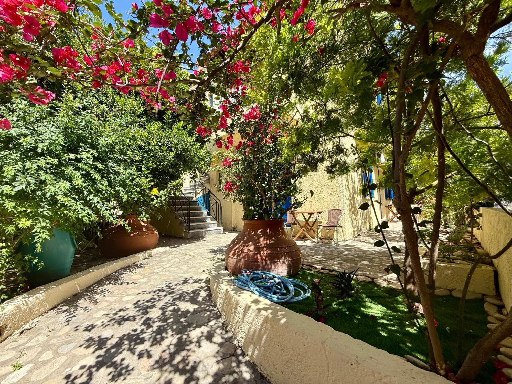 Jimmy's Place Ormos (Samos)